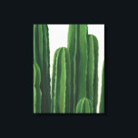 Pura Vida - Cacti Group Canvas Print<br><div class="desc">"Pura Vida II" by Grace Popp. Features cacti in varying heights.</div>