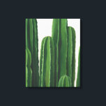 Pura Vida - Cacti Group Canvas Print<br><div class="desc">"Pura Vida II" by Grace Popp. Features cacti in varying heights.</div>