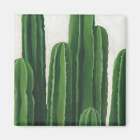 Pura Vida - Cacti Group