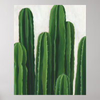 Pura Vida - Cacti Group