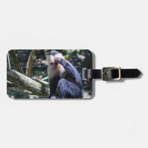 Pura vida for White-faced capuchin monkey Luggage Tag