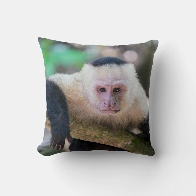 Pura vida for White headed capuchin monkey Cushion (Front)