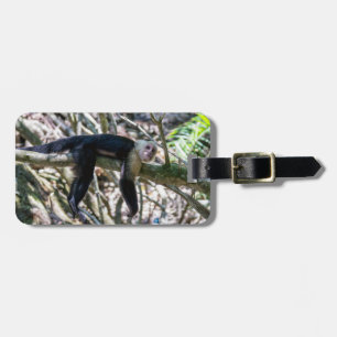 Pura vida for White headed capuchin monkey Luggage Tag