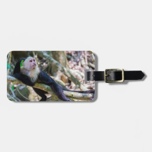 Pura vida for White headed capuchin monkey Luggage Tag