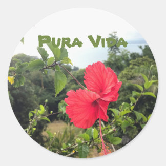 Pura Vida with Hibiscus Sticker