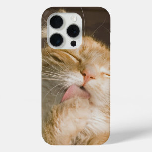 Pure Bliss Maine Coon Cat Close-Up Photograph iPhone 15 Pro Case