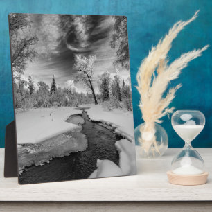 Pure Campbell Creek Plaque