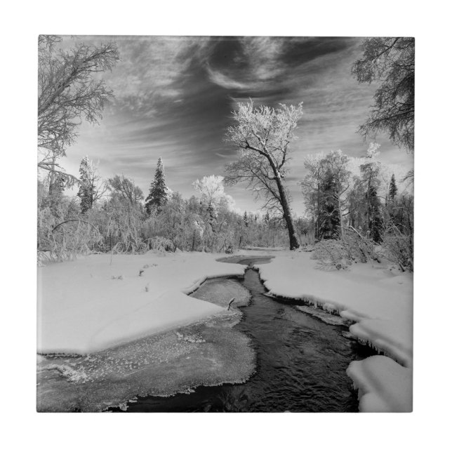 Pure Campbell Creek Tile (Front)