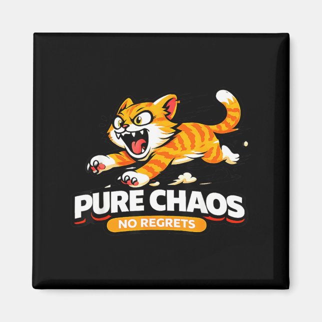 Pure Chaos Funny Ca Magnet (Front)