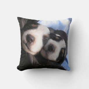 Pure Contentment Cushion