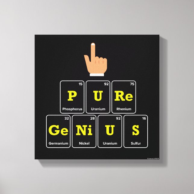 Pure Genius Canvas Print (Front)