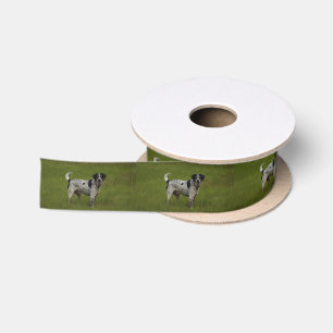 Pure Joy Satin Ribbon