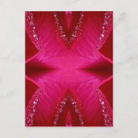 Pure Rose Petal Art - Blood Red n PinkRose