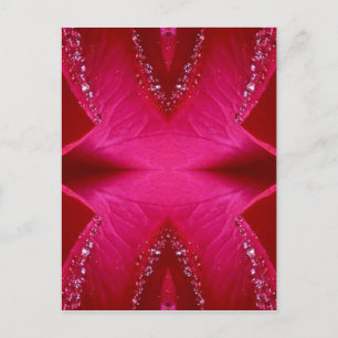 Pure Rose Petal Art - Blood Red n PinkRose Postcard