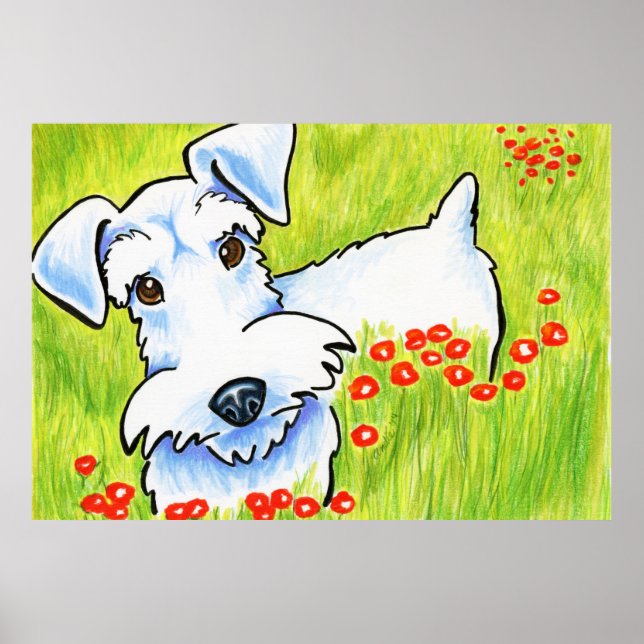 Pure Schnauzer Poster (Front)