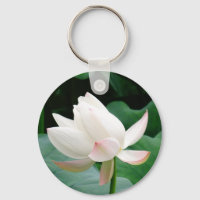 Pure Water Lily with Pink Tips