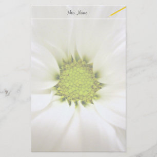 pure white daisy flower stationery