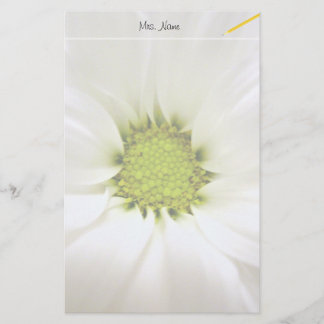 pure white daisy flower stationery