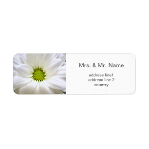 pure white daisy flower wedding