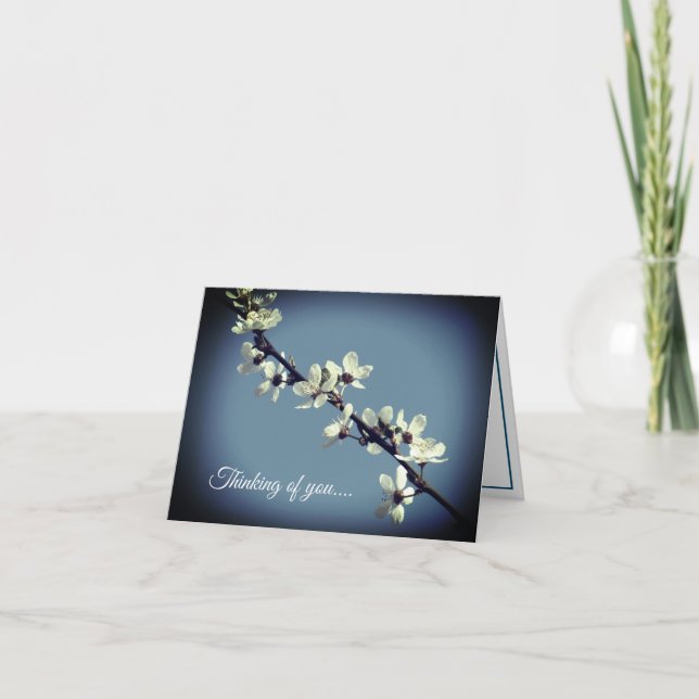 Pure White Plum Blossom in Spring Card (Front)