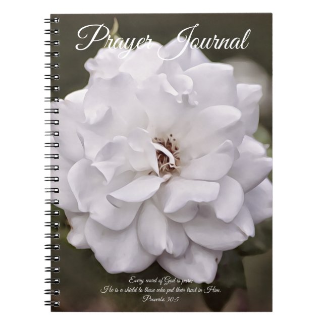 Pure White Rose Prayer Journal (Front)