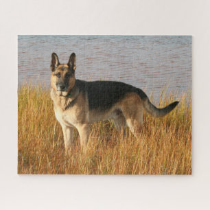 Purebred German Shepherd II Jigsaw Puzzle