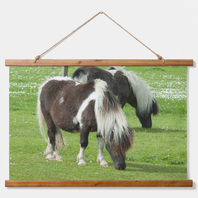 Purebred Shetland Paint Ponies Hanging Tapestry (Front)