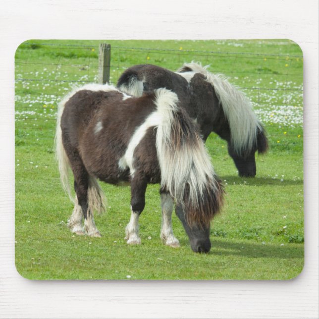 Purebred Shetland Paint Ponies Mouse Pad (Front)