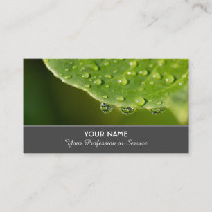 Purifying raindrops for gardeners and florists business card