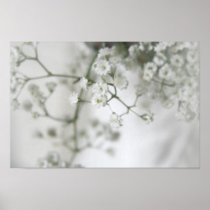 Purity Canvas Print