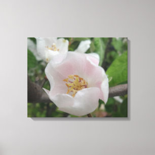 Purity Canvas Print