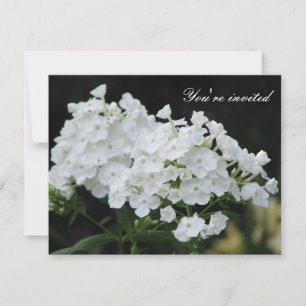 Purity Invitation