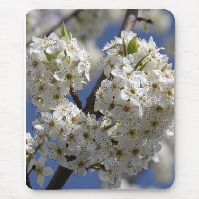 Purity Mouse Pad (Front)