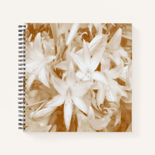 Purity... Notebook