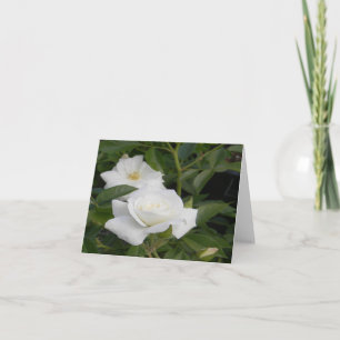 Purity & Peace... Card