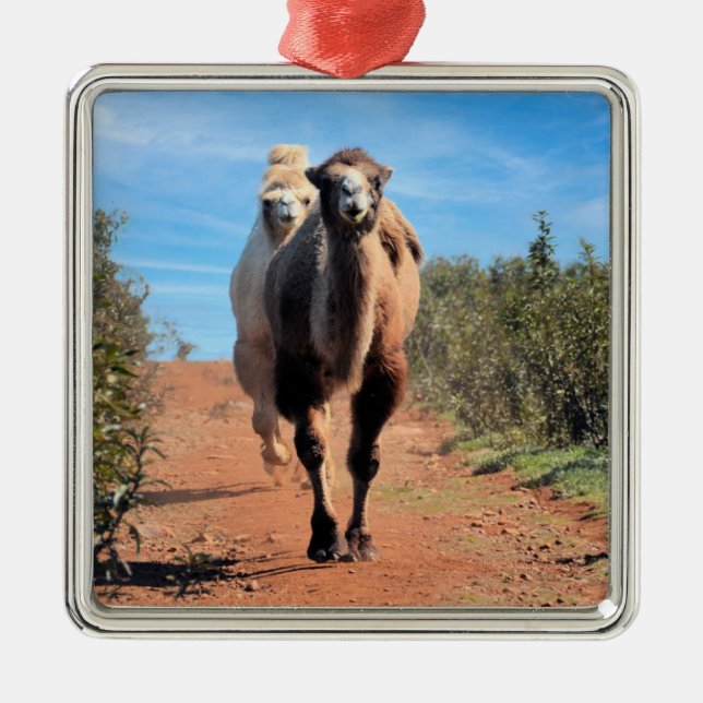 Purnimama & Delany Metal Tree Decoration (Front)