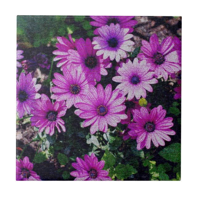 Purple African Daisies Floral Art Tile (Front)