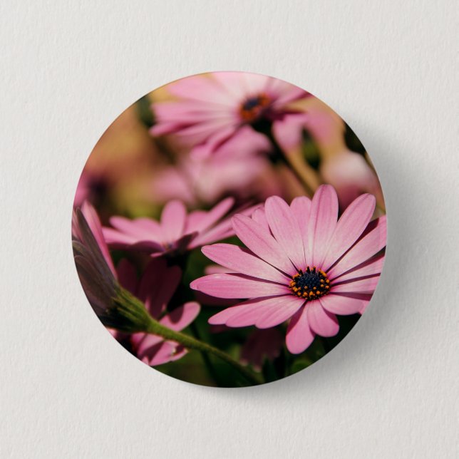 Purple African Daisy 6 Cm Round Badge (Front)