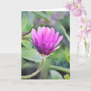 Purple African Daisy Bud Flower Art Note Card