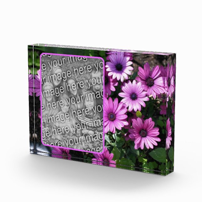 Purple African Daisy Flowers Add Your Own  Photo Block (Right)