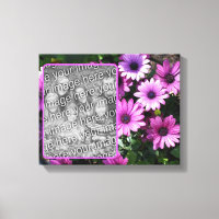 Purple African Daisy Flowers Create Your Own Photo