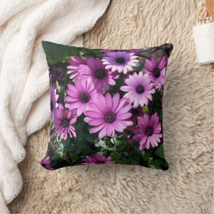 Purple African Daisy Flowers  Cushion