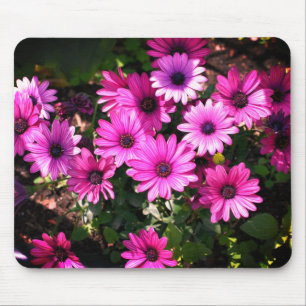 Purple African Daisy Flowers Mouse Pad