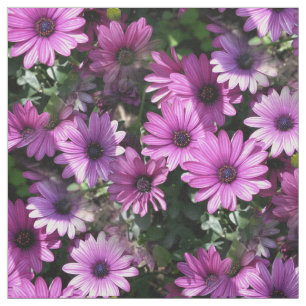 Purple African Daisy Flowers Nature Floral Pattern Fabric