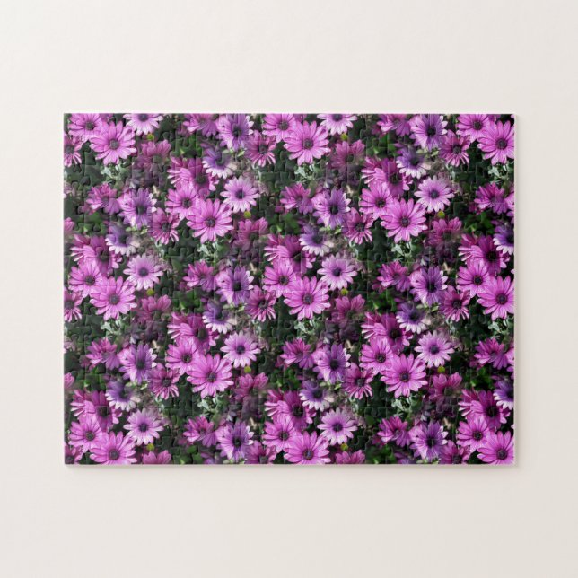 Purple African Daisy Flowers Nature Jigsaw Puzzle (Horizontal)