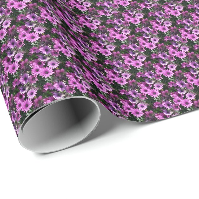 Purple African Daisy Flowers Nature Pattern   Wrapping Paper (Roll Corner)