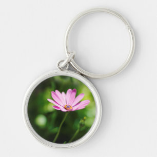 Purple African Daisy Photograph Key Ring