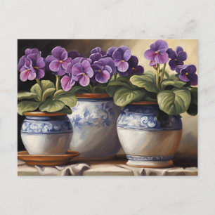Purple African Violet Plants in the Pots  Postcard