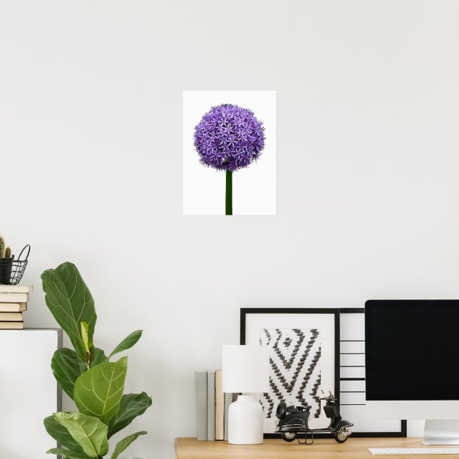 Purple Allium Bloom on White Background Poster (Home Office)