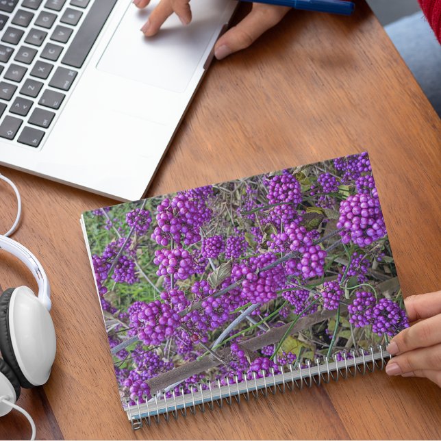 Purple American Beautyberry Botanical Notebook (In Situ)